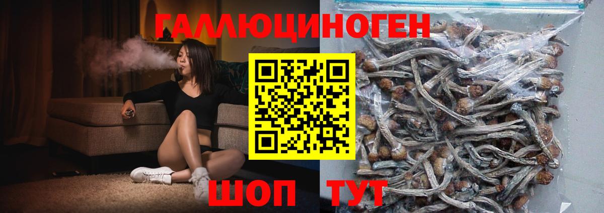магазин    Вход с VPN  Иваново  Галлюциногенные грибы мухоморы 